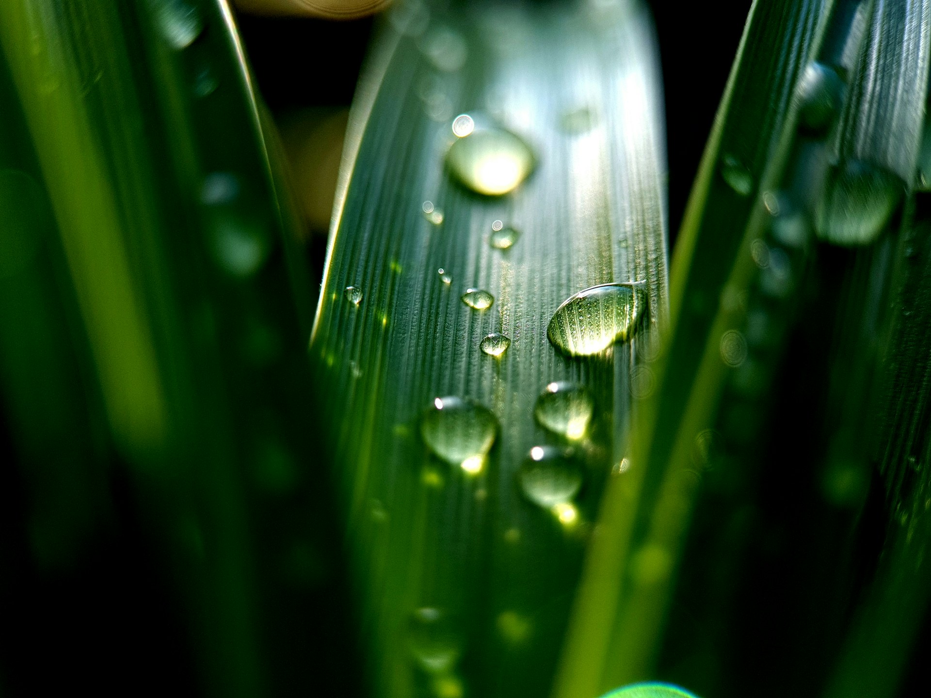 The 7 deadly sins of greenwashing